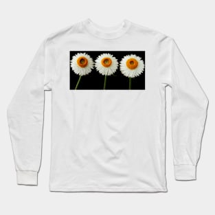 Helichrysum bracteatum  &#39;Nevada White&#39;  Everlasting flower Long Sleeve T-Shirt